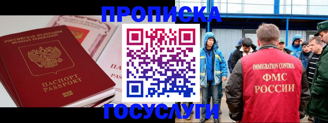 временная регистрация поиск в Новосибирской области